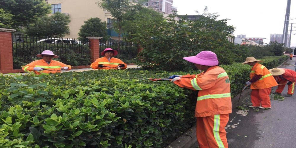 新站區(qū)道路清掃保潔、綠化管養(yǎng)項(xiàng)目